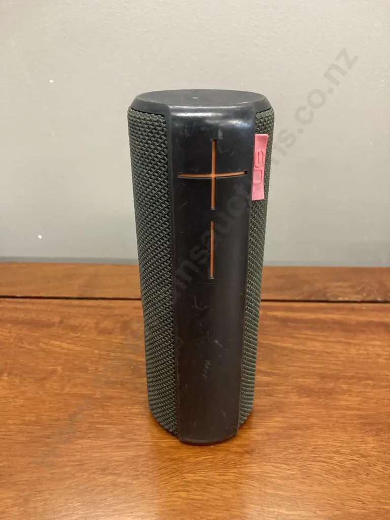Logitech UE Boom S-00122 Image 1++